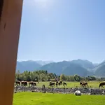 Eliyas Near The Pirin Golf