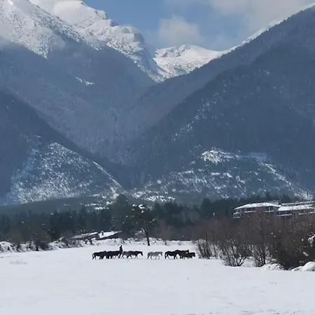 Eliyas Near The Pirin Golf Alpesi faház
